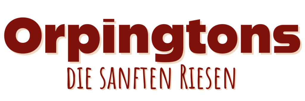 orpington-Huhn